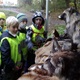 Za zvířátky do Krčského lesa vzaly školáky, předškoláky i rodiny s dětmi z naší městské části radnice Prahy 4 a Lesy hlavního města Prahy. Na celkem šesti stanovištích na břehu rybníka Labuť poznaly v úterý 26. října 2021 děti obyvatele lesů i rybníků a dalších vodních ploch.