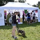 V neděli 5. září 2021 se na Pankrácké pláni uskutečnil již 8. ročník oblíbeného festivalu PesFest. Ten je věnovaný především čtyřnohým společníkům člověka. Celým festivalem provázel moderátor Miroslav Konvalinka a na zdárný průběh dohlížela zakladatelka akce – zastupitelka naší městské části Praha 4 a předsedkyně bezpečnostního výboru Lucie Michková (ODS). V průběhu odpoledne si příchozí návštěvníci mohli se svým zvířecím doprovodem vyzkoušet agility, aport buřtem nebo si zasoutěžit v chytání piškotu. Příchozí mohli i zakoupit různé potřeby pro své čtyřnohé parťáky a tím přispět na opuštěná zvířata v útulcích. 