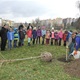 Sázení stromu na ZŠ U Krčského lesa - 23. 11. 2015