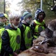 Za zvířátky do Krčského lesa vzaly školáky, předškoláky i rodiny s dětmi z naší městské části radnice Prahy 4 a Lesy hlavního města Prahy. Na celkem šesti stanovištích na břehu rybníka Labuť poznaly v úterý 26. října 2021 děti obyvatele lesů i rybníků a dalších vodních ploch.
