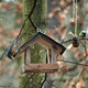 V lesoparku u sídliště Pod Lysinami vznikla na podzim 2019 naučná stezka nazvaná Město z ptačí perspektivy. Vytvořilo ji Ekocentrum Koniklec za podpory městské části Praha 4 a Hlavního města Prahy. Stezku tvoří pět tabulí a její součástí jsou i čtyři krmítka. Snímky jsou z 31. října 2019.