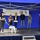 Nadace na ochranu zvířat uspořádala v sobotu 28. září 2019 od 11 do 18 hodin v parku Na Pankráci oslavu mezinárodního svátku zvířat - SVĚTOVÝ DEN ZVÍŘAT 2019. Akce se konala pod záštitou prvního místostarosty MČ Praha 4 Zdeňka Kováříka (ODS), ve spolupráci a za podpory naší městské části.