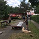 Turnaj v minigolfu pro seniory