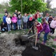 Praha 4 pokračuje v kultivaci prostředí vysazováním nových stromů 