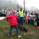 Pod Branickou skalou se 22. října 2019 uskutečnila tradiční akce - Den stromů. Až do 16 hodiny zde na příchozí čekaly čtyři stánky s informacemi o lesích v Praze. V rámci akce byly také vysazeny do parku dva vzrostlejší javory. Akci podpořil svou přítomností i radní pro životní prostředí Tomáš Hrdinka (ANO 2011).