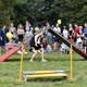 V neděli 5. září 2021 se na Pankrácké pláni uskutečnil již 8. ročník oblíbeného festivalu PesFest. Ten je věnovaný především čtyřnohým společníkům člověka. Celým festivalem provázel moderátor Miroslav Konvalinka a na zdárný průběh dohlížela zakladatelka akce – zastupitelka naší městské části Praha 4 a předsedkyně bezpečnostního výboru Lucie Michková (ODS). V průběhu odpoledne si příchozí návštěvníci mohli se svým zvířecím doprovodem vyzkoušet agility, aport buřtem nebo si zasoutěžit v chytání piškotu. Příchozí mohli i zakoupit různé potřeby pro své čtyřnohé parťáky a tím přispět na opuštěná zvířata v útulcích. 