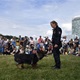 PesFest 2019 v Parku Na Pankráci