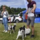 PesFest 2019 v Parku Na Pankráci