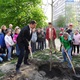 Praha 4 pokračuje v kultivaci prostředí vysazováním nových stromů 