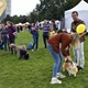 V parku Na Pankráci proběhl v neděli 11. září 2022 již 9. ročník oblíbené „zábavy pro psa i celou rodinu“ - PesFest 2022. Příchozí mohli vidět různá vystoupení psů a komentované ukázky výcviku, agility park, psí poradny, oblíbené psí soutěže, prodej chovatelských potřeb a samozřejmě vyhlášení sympaťáka PesFestu 2022.