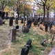 Prohlídka synagog - tak se jmenovala vycházka, kterou naši senioři spolu s průvodcem absolvovali 12. listopadu 2019.