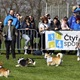 Na "Psí louce" na Kavčích horách se v sobotu 22. dubna 2023 od deváté ranní uskutečnil již třetí ročník oblíbeného závodu Corgi race cup.