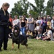 PesFest 2019 v Parku Na Pankráci