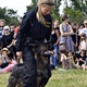 PesFest 2019 v Parku Na Pankráci