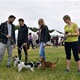 PesFest 2019 v Parku Na Pankráci