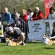 Na "Psí louce" na Kavčích horách se v sobotu 22. dubna 2023 od deváté ranní uskutečnil již třetí ročník oblíbeného závodu Corgi race cup.