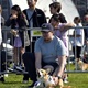 Na "Psí louce" na Kavčích horách se v sobotu 22. dubna 2023 od deváté ranní uskutečnil již třetí ročník oblíbeného závodu Corgi race cup.