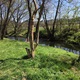 Procházka s Lesy hl. m. Prahy - Pražské potoky a rybníky "Meandry Botiče"