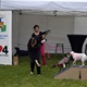 PesFest 2019 v Parku Na Pankráci