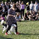 V neděli 5. září 2021 se na Pankrácké pláni uskutečnil již 8. ročník oblíbeného festivalu PesFest. Ten je věnovaný především čtyřnohým společníkům člověka. Celým festivalem provázel moderátor Miroslav Konvalinka a na zdárný průběh dohlížela zakladatelka akce – zastupitelka naší městské části Praha 4 a předsedkyně bezpečnostního výboru Lucie Michková (ODS). V průběhu odpoledne si příchozí návštěvníci mohli se svým zvířecím doprovodem vyzkoušet agility, aport buřtem nebo si zasoutěžit v chytání piškotu. Příchozí mohli i zakoupit různé potřeby pro své čtyřnohé parťáky a tím přispět na opuštěná zvířata v útulcích. 