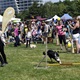 PesFest 2019 v Parku Na Pankráci