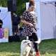 V neděli 5. září 2021 se na Pankrácké pláni uskutečnil již 8. ročník oblíbeného festivalu PesFest. Ten je věnovaný především čtyřnohým společníkům člověka. Celým festivalem provázel moderátor Miroslav Konvalinka a na zdárný průběh dohlížela zakladatelka akce – zastupitelka naší městské části Praha 4 a předsedkyně bezpečnostního výboru Lucie Michková (ODS). V průběhu odpoledne si příchozí návštěvníci mohli se svým zvířecím doprovodem vyzkoušet agility, aport buřtem nebo si zasoutěžit v chytání piškotu. Příchozí mohli i zakoupit různé potřeby pro své čtyřnohé parťáky a tím přispět na opuštěná zvířata v útulcích. 