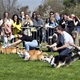 Na "Psí louce" na Kavčích horách se v sobotu 22. dubna 2023 od deváté ranní uskutečnil již třetí ročník oblíbeného závodu Corgi race cup.
