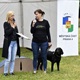 PesFest 2019 v Parku Na Pankráci