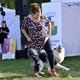 V neděli 5. září 2021 se na Pankrácké pláni uskutečnil již 8. ročník oblíbeného festivalu PesFest. Ten je věnovaný především čtyřnohým společníkům člověka. Celým festivalem provázel moderátor Miroslav Konvalinka a na zdárný průběh dohlížela zakladatelka akce – zastupitelka naší městské části Praha 4 a předsedkyně bezpečnostního výboru Lucie Michková (ODS). V průběhu odpoledne si příchozí návštěvníci mohli se svým zvířecím doprovodem vyzkoušet agility, aport buřtem nebo si zasoutěžit v chytání piškotu. Příchozí mohli i zakoupit různé potřeby pro své čtyřnohé parťáky a tím přispět na opuštěná zvířata v útulcích. 