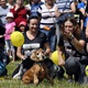 PesFest 2019 v Parku Na Pankráci