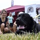 PesFest 2019 v Parku Na Pankráci