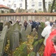 Prohlídka synagog a Starého židovského hřbitova