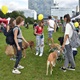 V parku Na Pankráci proběhl v neděli 11. září 2022 již 9. ročník oblíbené „zábavy pro psa i celou rodinu“ - PesFest 2022. Příchozí mohli vidět různá vystoupení psů a komentované ukázky výcviku, agility park, psí poradny, oblíbené psí soutěže, prodej chovatelských potřeb a samozřejmě vyhlášení sympaťáka PesFestu 2022.