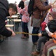 Jarní taškařice