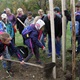 Den stromů s Prahou 4 (2017)