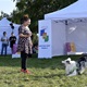 V neděli 5. září 2021 se na Pankrácké pláni uskutečnil již 8. ročník oblíbeného festivalu PesFest. Ten je věnovaný především čtyřnohým společníkům člověka. Celým festivalem provázel moderátor Miroslav Konvalinka a na zdárný průběh dohlížela zakladatelka akce – zastupitelka naší městské části Praha 4 a předsedkyně bezpečnostního výboru Lucie Michková (ODS). V průběhu odpoledne si příchozí návštěvníci mohli se svým zvířecím doprovodem vyzkoušet agility, aport buřtem nebo si zasoutěžit v chytání piškotu. Příchozí mohli i zakoupit různé potřeby pro své čtyřnohé parťáky a tím přispět na opuštěná zvířata v útulcích. 