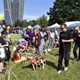 PesFest 2019 v Parku Na Pankráci