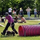 PesFest 2019 v Parku Na Pankráci