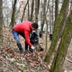 Při příležitosti akcí Ukliďme Česko, Ukliďme svět a Dne Země uspořádali studenti Školy mezinárodních a veřejných vztahů a gymnázia z Michle další ročník svého projektu EKODEN konaného za podpory městské části Praha 4. Společně uklidili vybraná veřejná prostranství v městské části. Letos se do úklidu zapojilo 80 studentů z prvních ročníků, k nimž se ale dobrovolně připojili i někteří studenti druhých a třetích ročníků. Akci zastřešila městská část Praha 4. Akce se zúčastnil i radní Prahy 4 Jan Hušbauer (ANO 2011)  který má na starosti společnosti založené MČ Praha 4, dotační politiku a správu veřejných prostranství.
