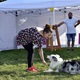 V neděli 5. září 2021 se na Pankrácké pláni uskutečnil již 8. ročník oblíbeného festivalu PesFest. Ten je věnovaný především čtyřnohým společníkům člověka. Celým festivalem provázel moderátor Miroslav Konvalinka a na zdárný průběh dohlížela zakladatelka akce – zastupitelka naší městské části Praha 4 a předsedkyně bezpečnostního výboru Lucie Michková (ODS). V průběhu odpoledne si příchozí návštěvníci mohli se svým zvířecím doprovodem vyzkoušet agility, aport buřtem nebo si zasoutěžit v chytání piškotu. Příchozí mohli i zakoupit různé potřeby pro své čtyřnohé parťáky a tím přispět na opuštěná zvířata v útulcích. 