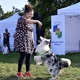 V neděli 5. září 2021 se na Pankrácké pláni uskutečnil již 8. ročník oblíbeného festivalu PesFest. Ten je věnovaný především čtyřnohým společníkům člověka. Celým festivalem provázel moderátor Miroslav Konvalinka a na zdárný průběh dohlížela zakladatelka akce – zastupitelka naší městské části Praha 4 a předsedkyně bezpečnostního výboru Lucie Michková (ODS). V průběhu odpoledne si příchozí návštěvníci mohli se svým zvířecím doprovodem vyzkoušet agility, aport buřtem nebo si zasoutěžit v chytání piškotu. Příchozí mohli i zakoupit různé potřeby pro své čtyřnohé parťáky a tím přispět na opuštěná zvířata v útulcích. 