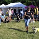 PesFest 2019 v Parku Na Pankráci