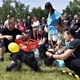 PesFest 2019 v Parku Na Pankráci