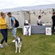 PesFest 2019 v Parku Na Pankráci