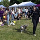 PesFest 2019 v Parku Na Pankráci