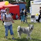 PesFest 2019 v Parku Na Pankráci