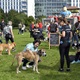 V parku Na Pankráci proběhl v neděli 11. září 2022 již 9. ročník oblíbené „zábavy pro psa i celou rodinu“ - PesFest 2022. Příchozí mohli vidět různá vystoupení psů a komentované ukázky výcviku, agility park, psí poradny, oblíbené psí soutěže, prodej chovatelských potřeb a samozřejmě vyhlášení sympaťáka PesFestu 2022.