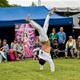 Multikulturní festival KALEIDOSKOP v parku Na Pankráci - 11. 6. 2016