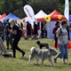 PesFest 2019 v Parku Na Pankráci