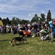 PesFest 2019 v Parku Na Pankráci